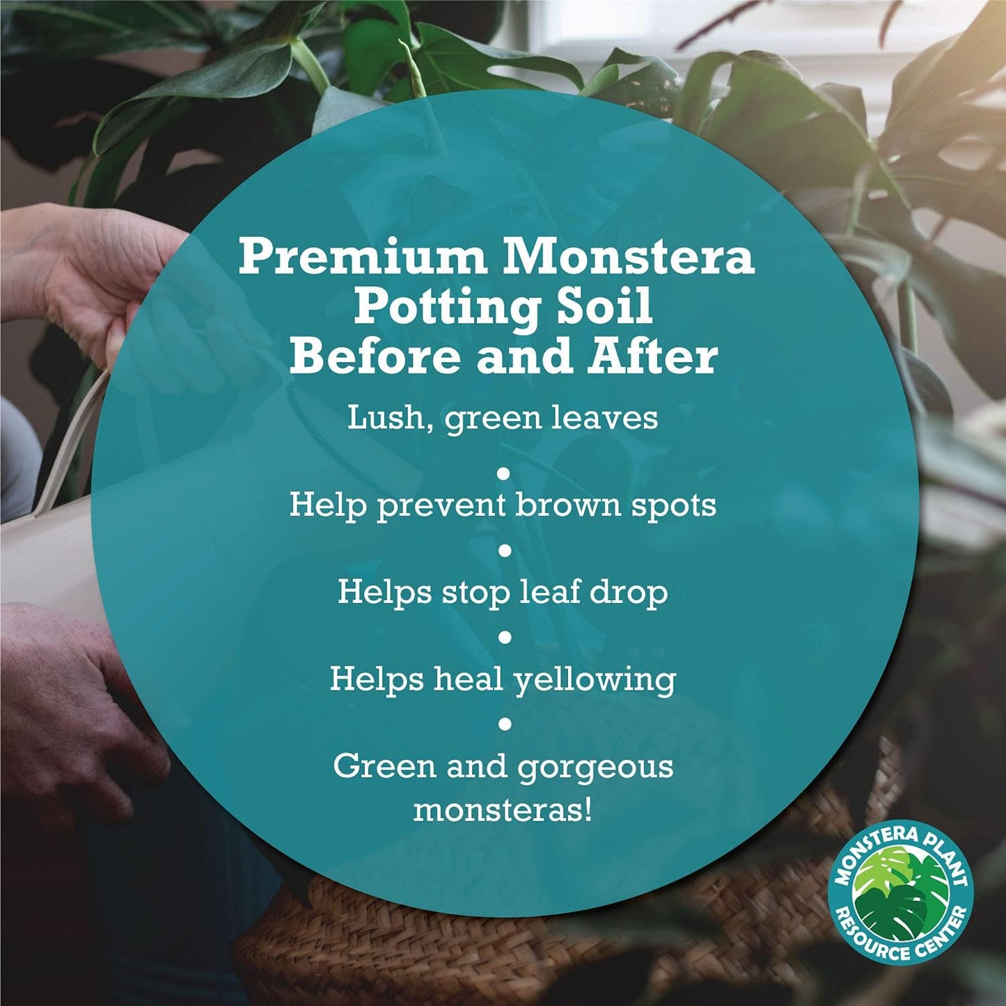 Premium Monstera Potting Soil - Quick Drain Soil for Thriving Deliciosa and Swiss Cheese Plants