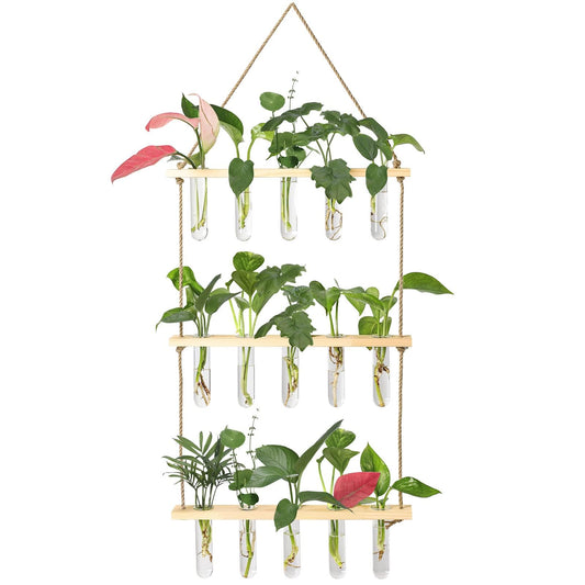 Wall Hanging Propagation Station with Wooden Stand - 5 Glass Test Tubes for Stylish Plant Display and Home Décor