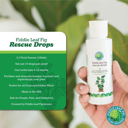 Fiddle Leaf Fig Rescue Drops by Fiddle Leaf Fig Plant Resource | 3-in-1 Liquid Fertilizer, Root Supplement & Immunity Booster for Thriving Houseplants (3.3 Fluid Ounces - 100ml)