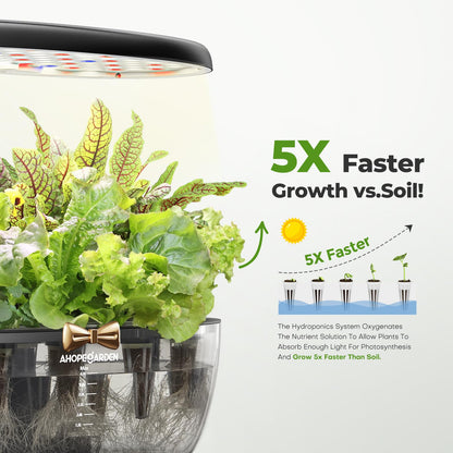 Indoor Hydroponics Growing System