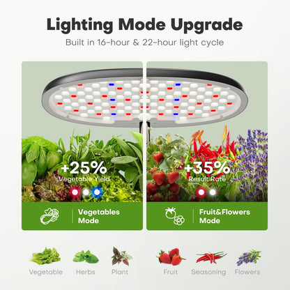 Indoor Hydroponics Growing System