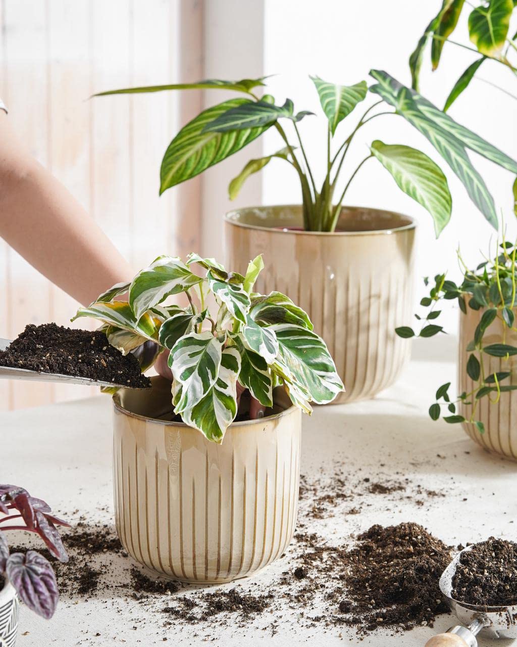 LE TAUCI Ceramic Planters for Indoor Plants Set of 3 with Drainage Holes in Dark Olive, Stylish Cylinder Flower Pots for Home Décor