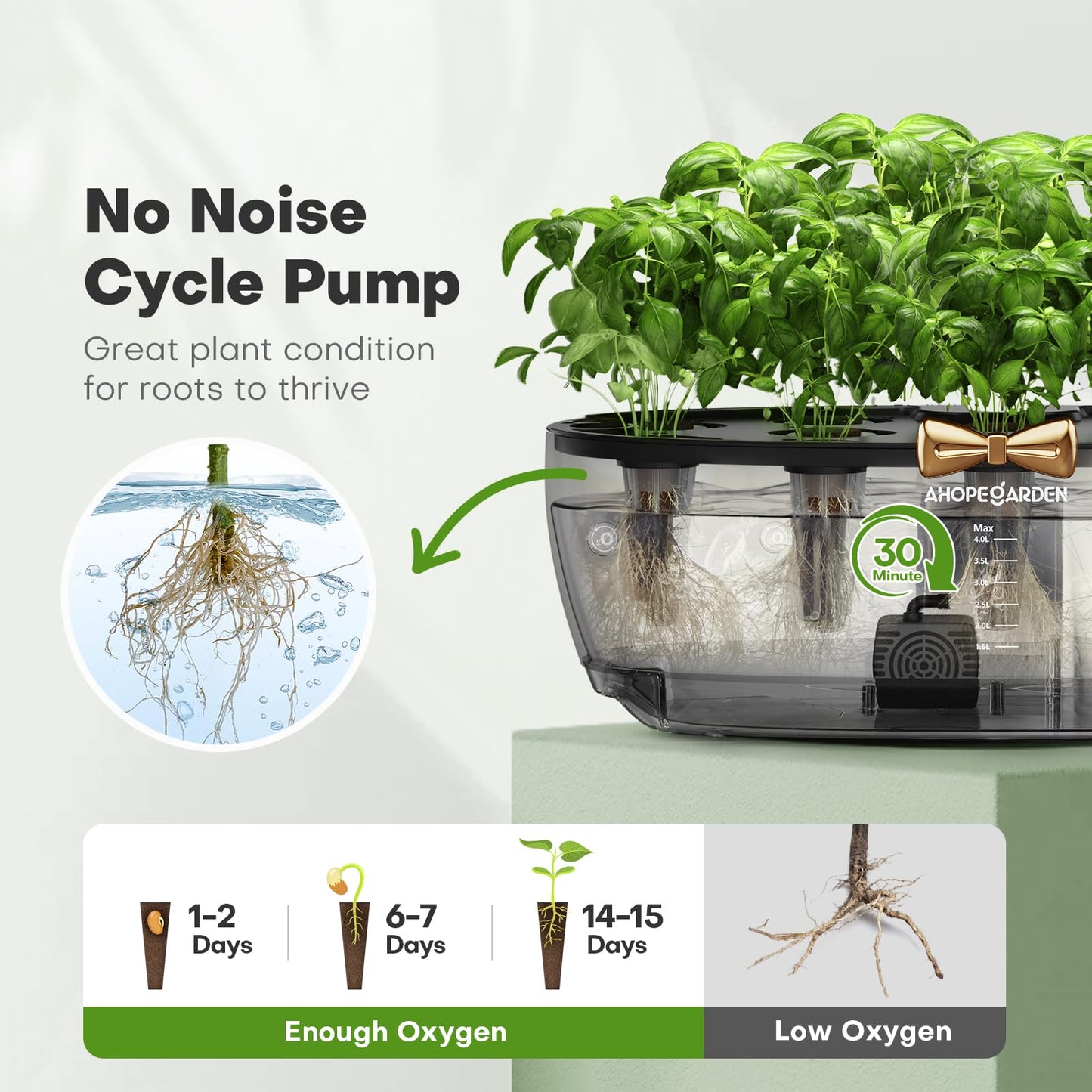 Indoor Hydroponics Growing System