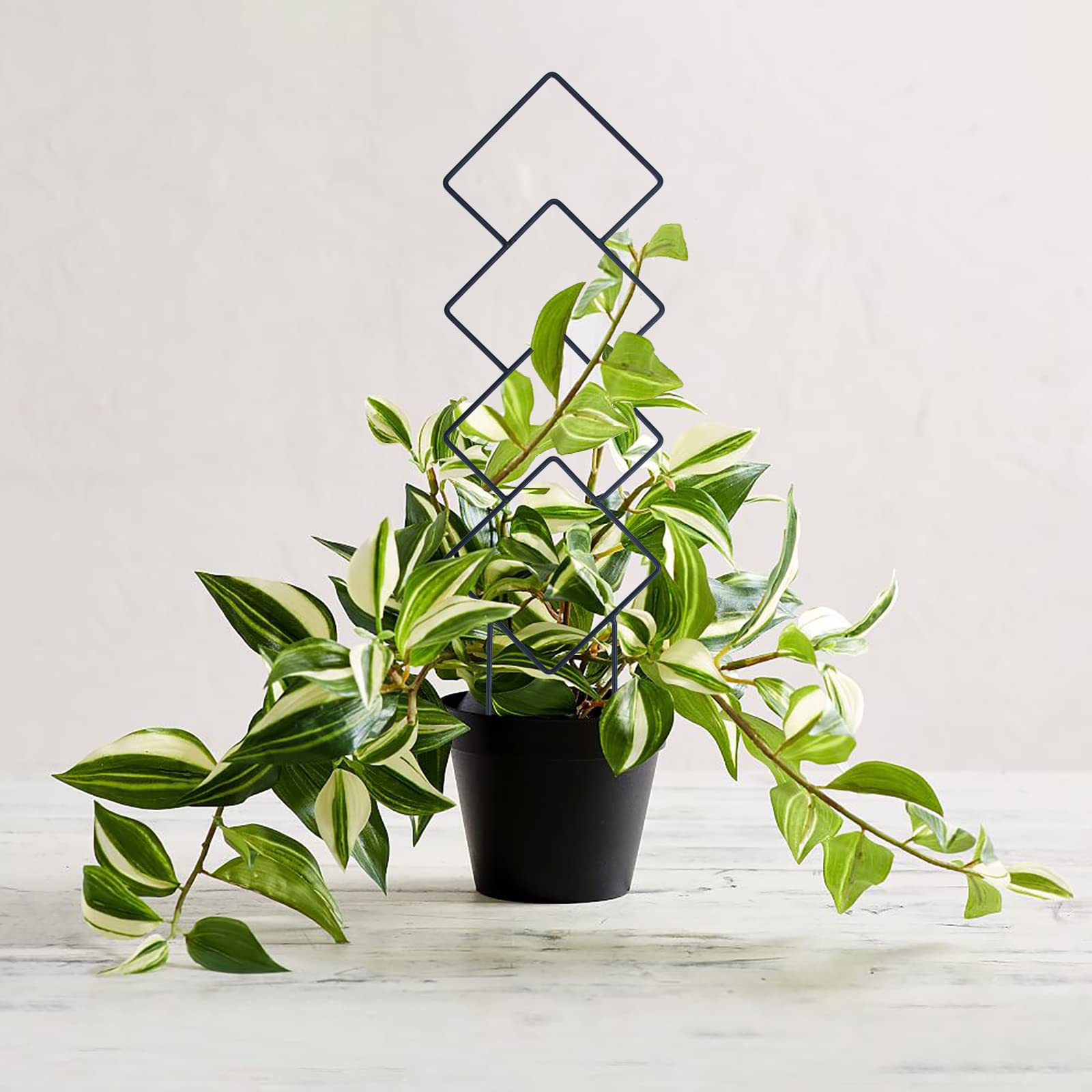 Indoor Plant Trellis for Climbing Plants, 16inch Small Garden Metal Trellis for Potted Plants Outdoor - 4 Pack - OVAD