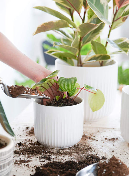 LE TAUCI Ceramic Planters for Indoor Plants Set of 3 with Drainage Holes in Dark Olive, Stylish Cylinder Flower Pots for Home Décor