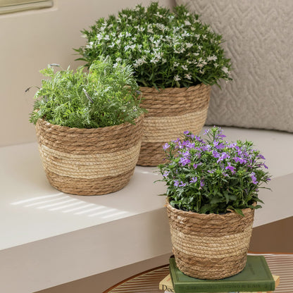 Handwoven Seagrass Planter Baskets for Eco-Friendly Decor