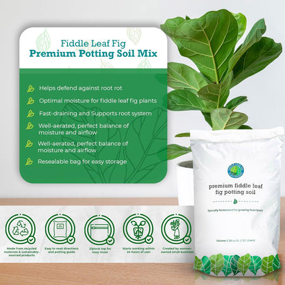 Fiddle Leaf Fig Potting Soil Mix by Fiddle Leaf Fig Plant Resource Premium Organic Soil with Enhanced Drainage for Fast Growth