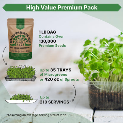 Organo Republic Broccoli Sprouting & Microgreens Seeds - Non-GMO Heirloom Kit in 1lb Resealable Bag for Growing in Soil Coconut Coir Aerogarden Hydroponic - OVAD