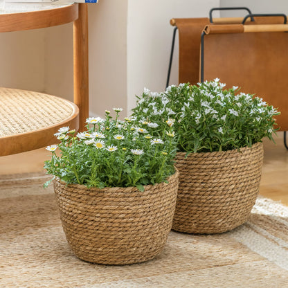 Handwoven Seagrass Planter Baskets for Eco-Friendly Decor