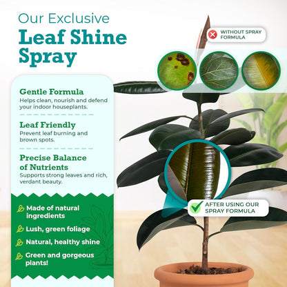 Houseplant Leaf Shine Spray - Leaf Polish, Gloss, and Shine for Vibrant Foliage and Effortless Plant Care