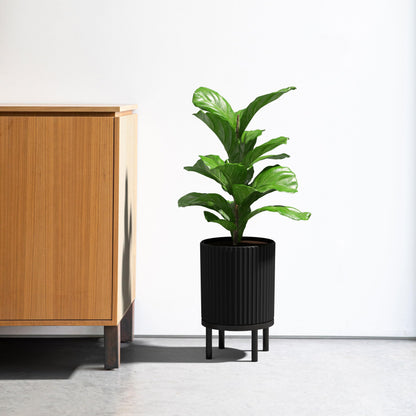 Demi Series Round Planter with Stand | Durable & Wooden Stand Perfect for Home Decor