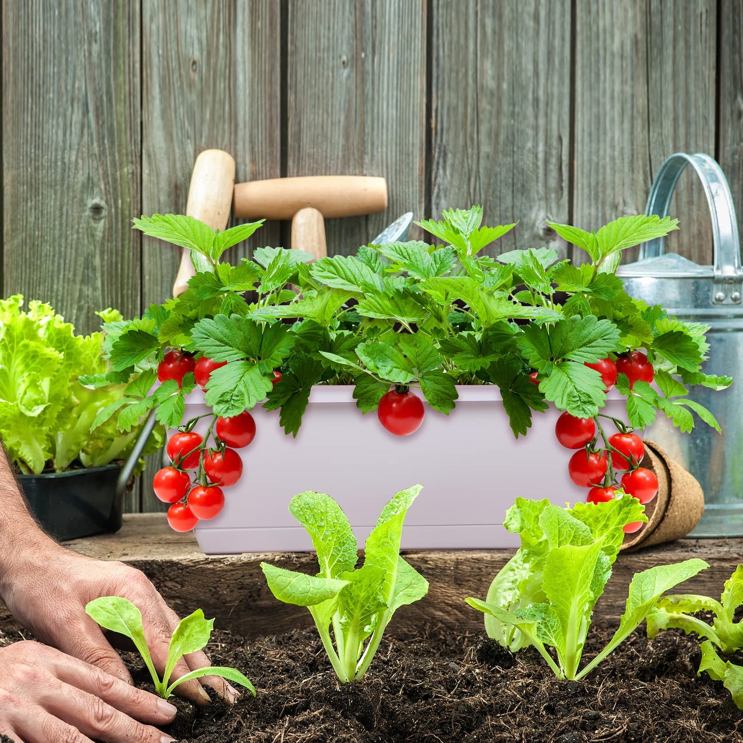 Vibrant 7 Pack Plastic Window Box Planter 17 Inches for All Your Gardening Needs