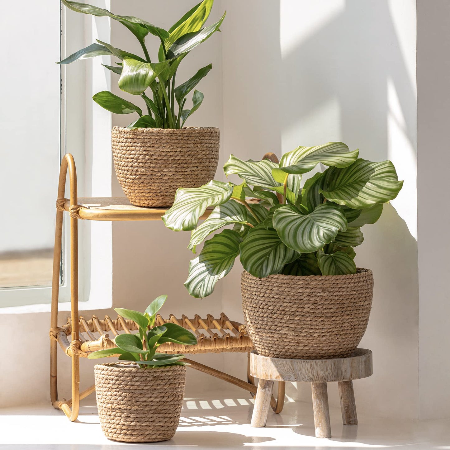 La Jolíe Muse Seagrass Planter Basket Indoor, Flower Pots Cover, Plant Containers, Natural(3-Pack) 10.2"+8.7"+6.7" - OVAD