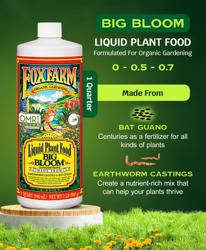 FoxFarm - Big Bloom Liquid Fertilizer Concentrate for Vibrant Flowers, Fruits, and Vegetables, All Purpose Indoor & Outdoor Plant Food, NPK 0.01-0.03-0.7 (Pint)