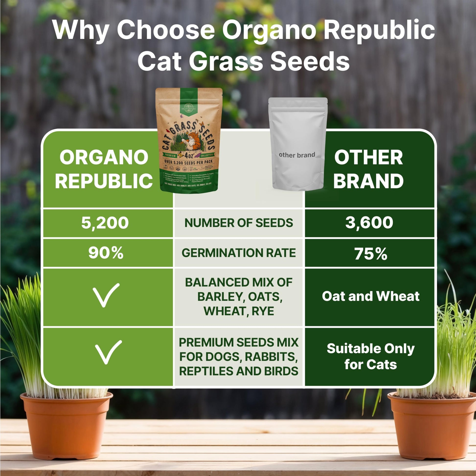 Organo Republic Cat Grass Seeds Mix - 20,800 Non-GMO Heirloom Seeds for Cats & Pets, 16 oz Pack for Indoor Planting and Natural Hairball Remedy - OVAD