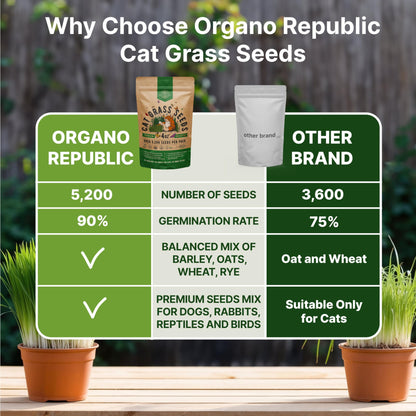 Organo Republic Cat Grass Seeds Mix - 20,800 Non-GMO Heirloom Seeds for Cats & Pets, 16 oz Pack for Indoor Planting and Natural Hairball Remedy - OVAD