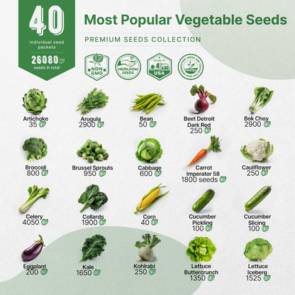 55 Vegetable Seeds Variety Pack - 35,600+ Non-GMO Heirloom Seeds for Home Gardening with Individual Packets for Indoor and Outdoor Hydroponics - OVAD