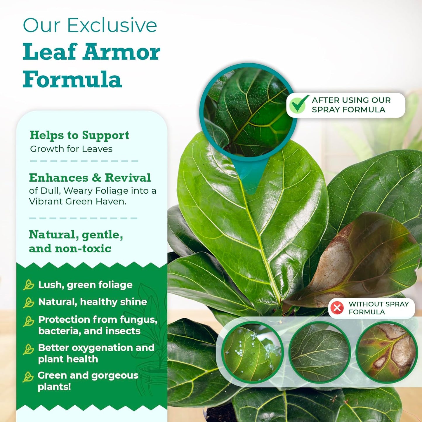 Leaf Armor by Houseplant Resource Center Natural Indoor Plant Leaf Protectant and Shine Spray for Fiddle Leaf Fig Monstera and Ficus Plants 8 Fluid Ounces