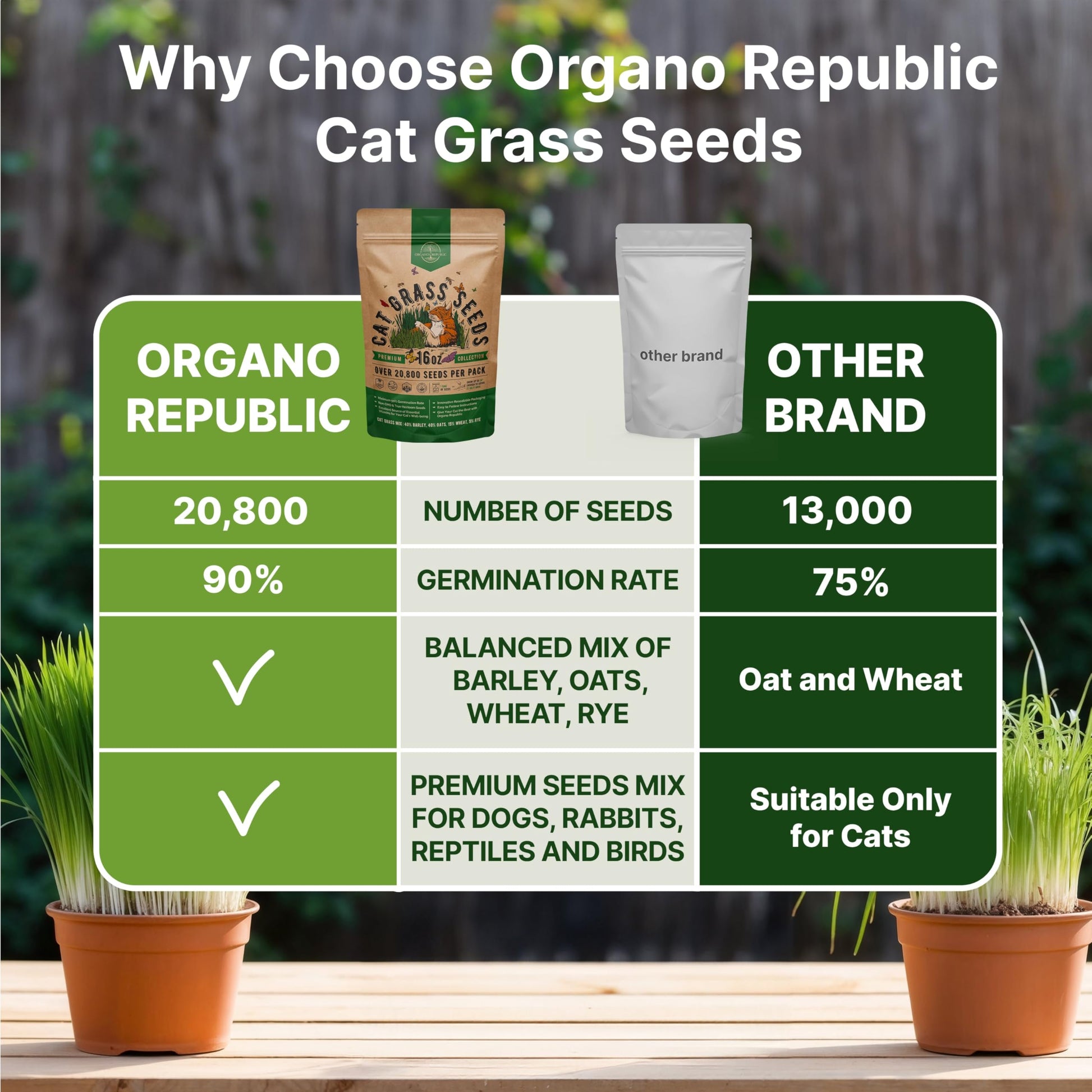 Organo Republic Cat Grass Seeds Mix - 20,800 Non-GMO Heirloom Seeds for Cats & Pets, 16 oz Pack for Indoor Planting and Natural Hairball Remedy - OVAD