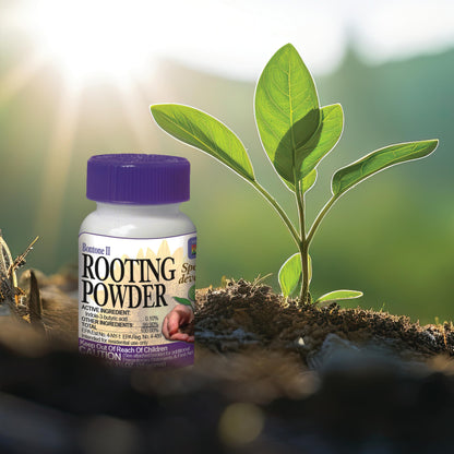 Bonide Bontone II Rooting Powder, 1.25 oz Ready-to-Use Dust for Houseplants and Transplants Speeds Root Development Fast and Easy