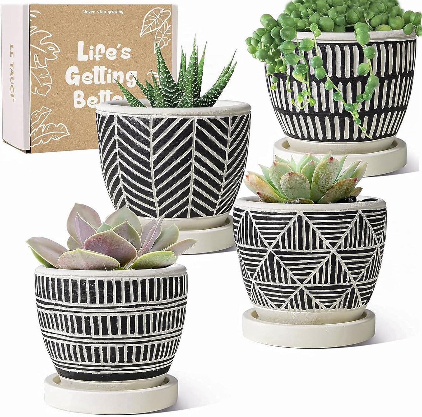 LE TAUCI 3 Inch Boho Succulent Pots, Artisanal Small Succulent Planters, Cute Cement Plant Pots Gift Box for Mom, Women, Set of 4, Black and Cream White