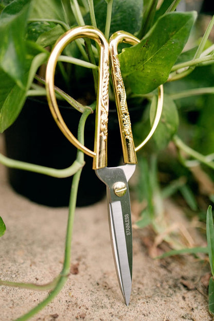 Premium Houseplant Scissors and Pruning Shears by Houseplant Resource Center - Ergonomic Sharp Durable Garden Clippers for Plant Care 100 Percent Stainless Steel Construction