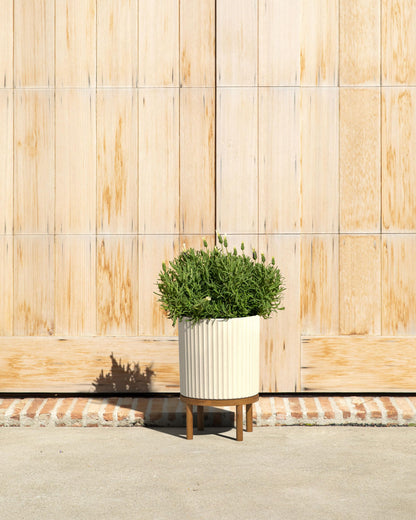 Demi Series Round Planter with Stand | Durable & Wooden Stand Perfect for Home Decor