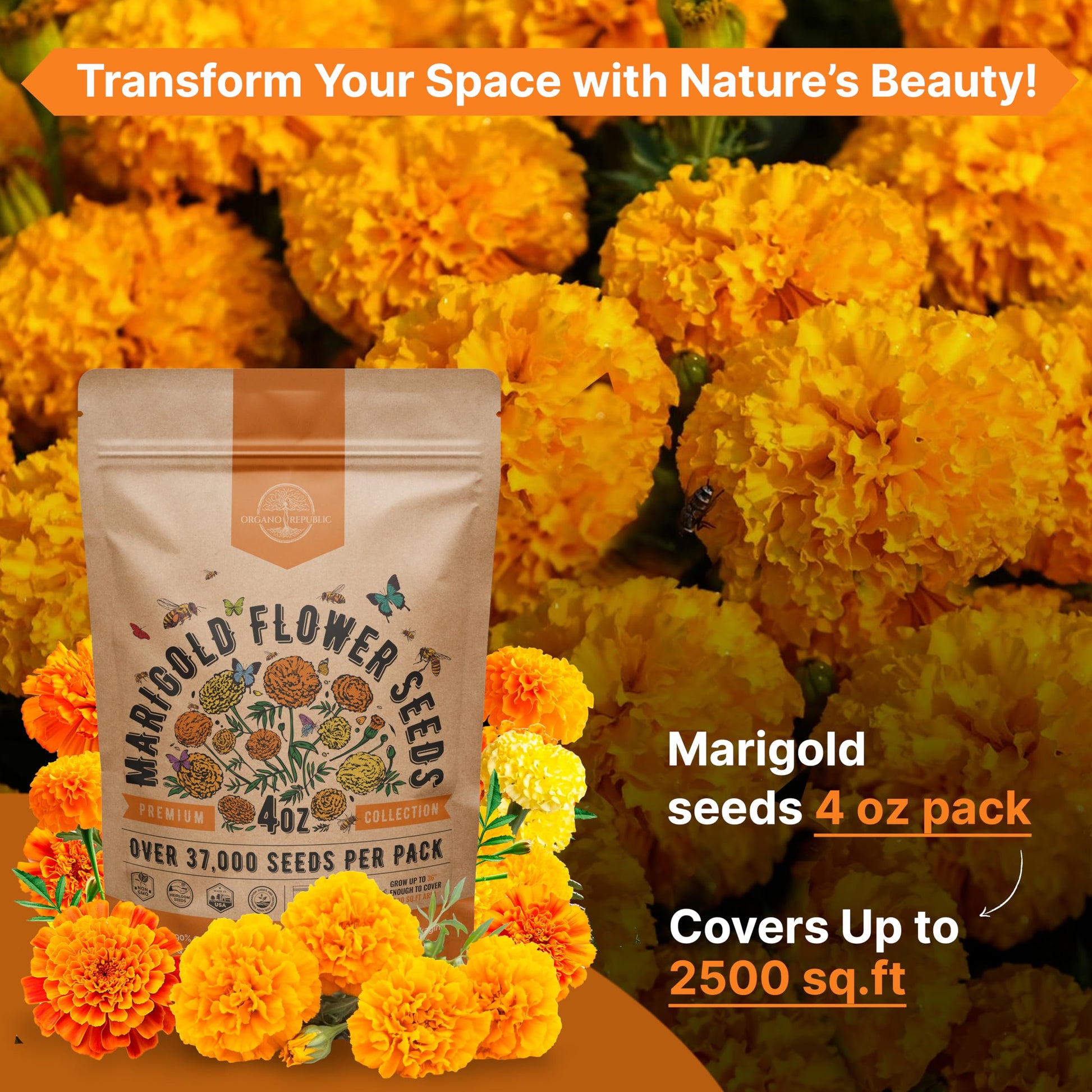 Marigold Seeds Pack 1 oz - Over 9,250 Non-GMO Heirloom Seeds for Indoor and Outdoor Gardening, Perfect for Home and Garden Beautification - OVAD