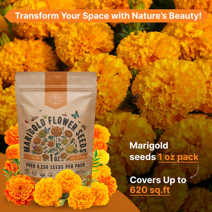 Marigold Seeds Pack 1 oz - Over 9,250 Non-GMO Heirloom Seeds for Indoor and Outdoor Gardening, Perfect for Home and Garden Beautification - OVAD