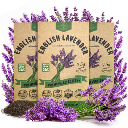 English Lavender Seeds Pack 2.50G - Over 2200 Non-GMO Heirloom Lavender Seeds for Planting Herbs in Individual Seed Packet for Home Gardens - OVAD