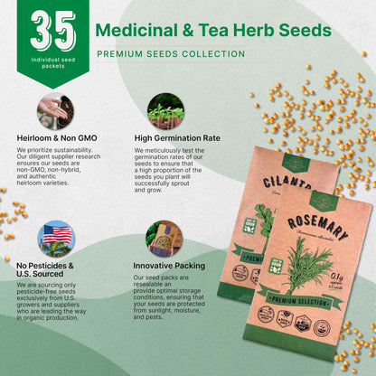 35 Medicinal & Tea Herb Seeds Variety Pack for Indoor & Outdoors Non-GMO Heirloom Garden Seeds Featuring Anise Dandelion & More - OVAD