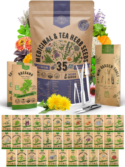 35 Medicinal & Tea Herb Seeds Variety Pack for Indoor & Outdoors Non-GMO Heirloom Garden Seeds Featuring Anise Dandelion & More - OVAD