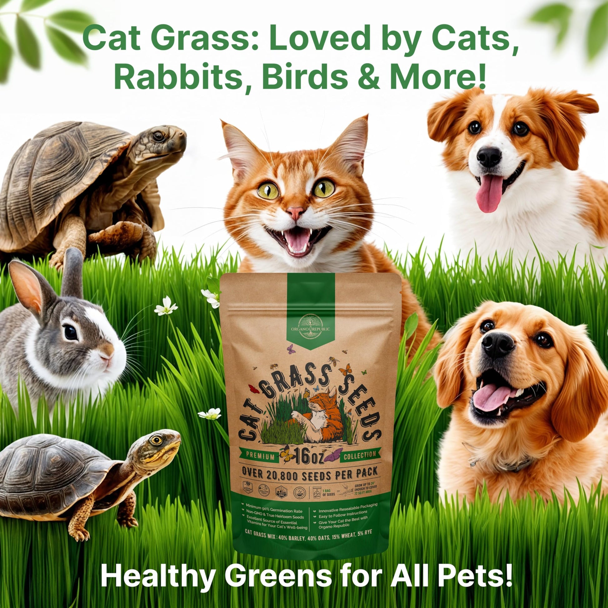 Organo Republic Cat Grass Seeds Mix - 20,800 Non-GMO Heirloom Seeds for Cats & Pets, 16 oz Pack for Indoor Planting and Natural Hairball Remedy - OVAD