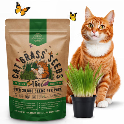 Organo Republic Cat Grass Seeds Mix - 20,800 Non-GMO Heirloom Seeds for Cats & Pets, 16 oz Pack for Indoor Planting and Natural Hairball Remedy - OVAD
