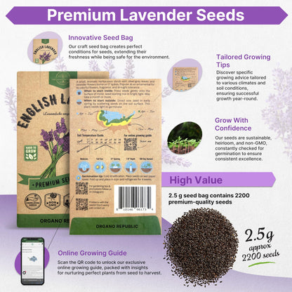 English Lavender Seeds Pack 2.50G - Over 2200 Non-GMO Heirloom Lavender Seeds for Planting Herbs in Individual Seed Packet for Home Gardens - OVAD