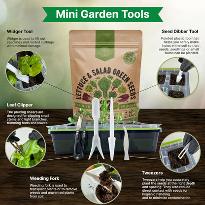 Organo Republic 22 Lettuce & Salad Greens Seeds Variety Pack 24,700 Plus Non-GMO Heirloom Lettuce Seeds For Indoor And Outdoor Garden Hydroponics Aerogarden Arugula Kale Spinach Swiss Chard Lettuce - OVAD