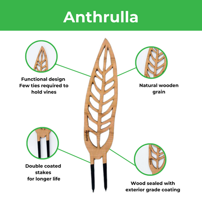 Anthrulla - Plant trellis inspired by the Queen Anthurium