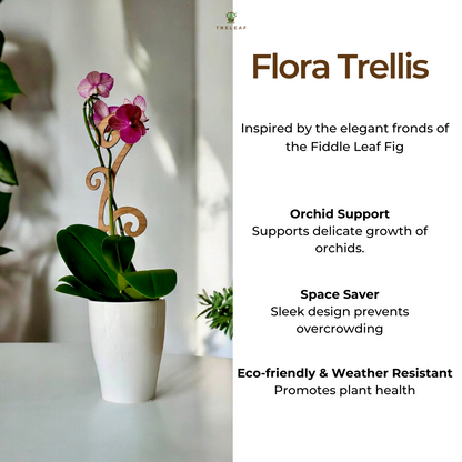 Flora - Plant trellis designed for Orchids