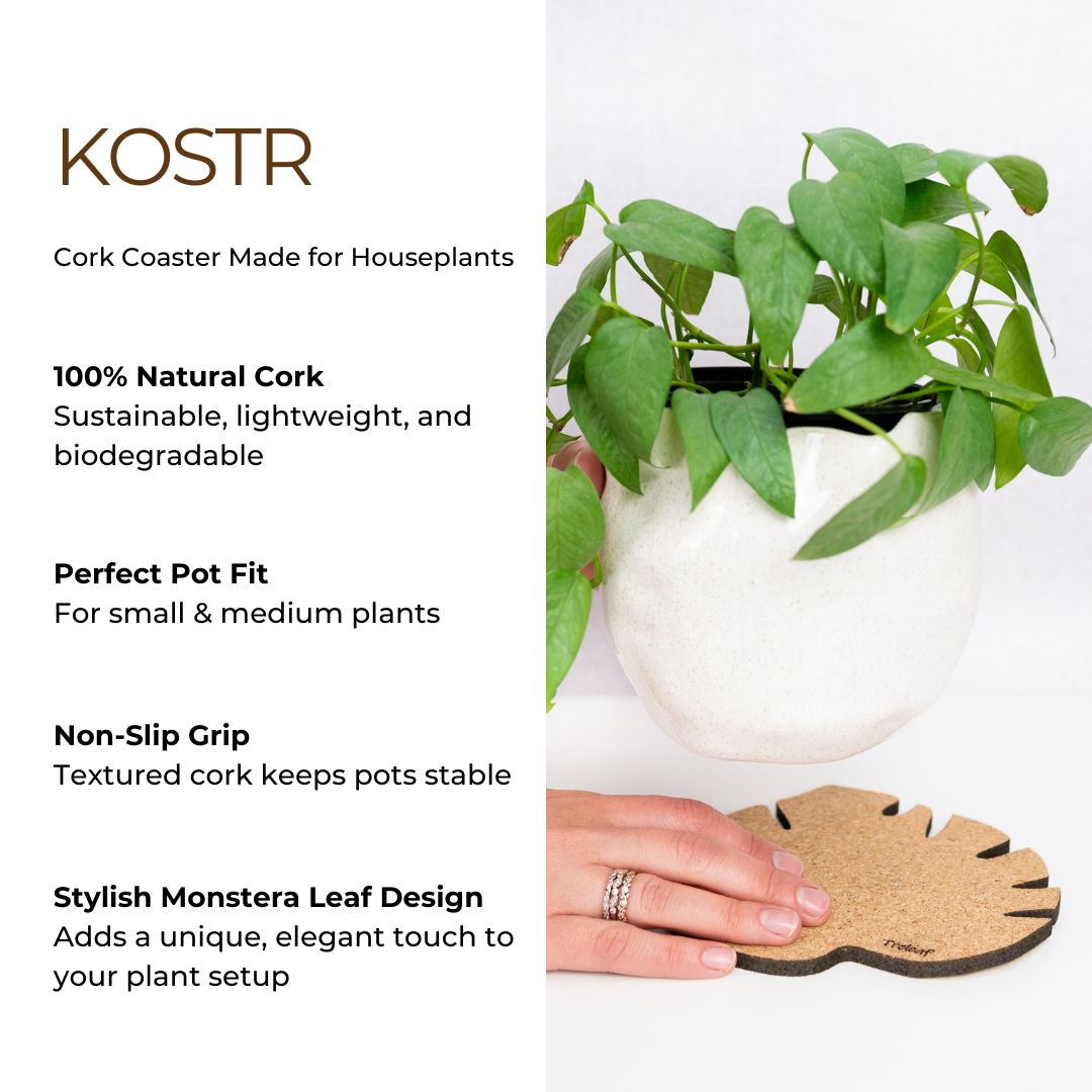 Kostr™ - Monstera Leaf-shaped  cork plant pot coaster