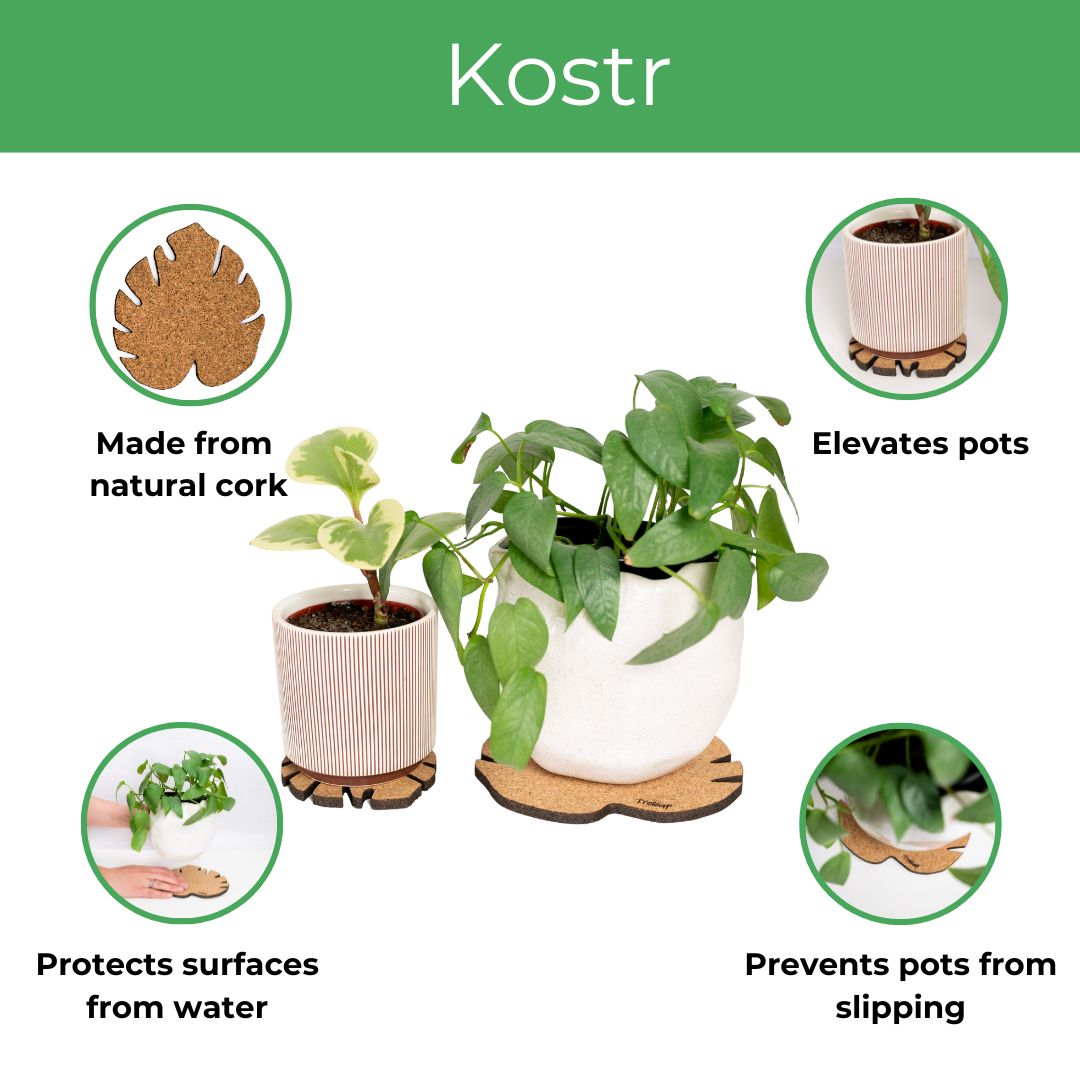 Kostr™ - Monstera Leaf-shaped  cork plant pot coaster
