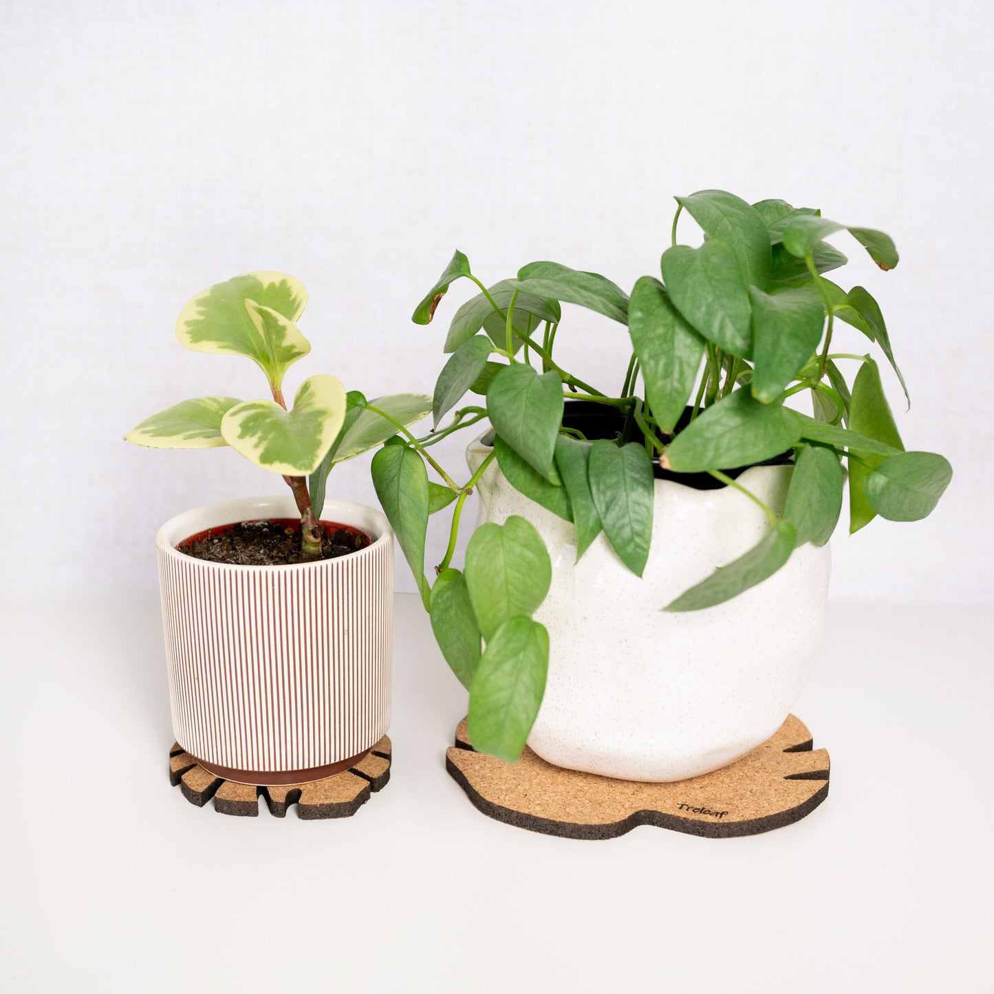 Kostr™ - Monstera Leaf-shaped  cork plant pot coaster