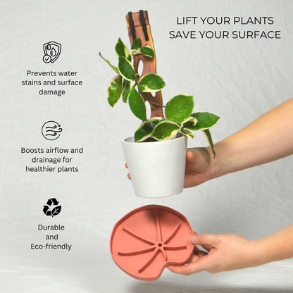 Lili Sausr - Lilly pad shaped Saucer - Spill tray - Drip tray for houseplants - Humidity tray