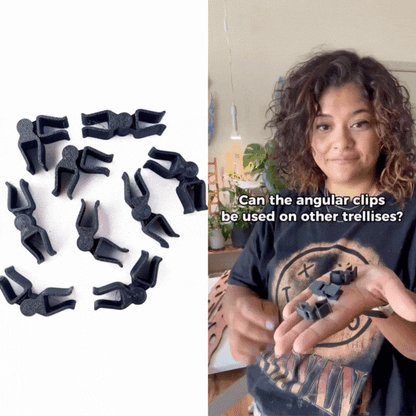 Stella - Modular ladder support