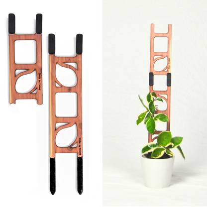 Stella - Modular ladder support
