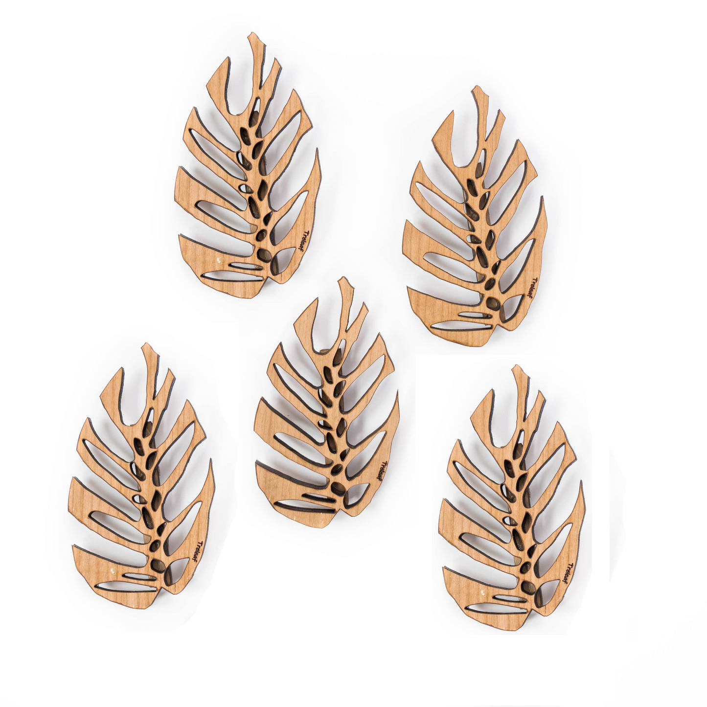 Monstrella - Wall Mounted