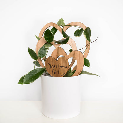 Trellove - Plant trellis inspired by Hoya Kerrii - 4 nested heart-shaped trellises + heart label