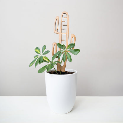 Cactrella - Plant trellis inspired by the Barrel Cactus