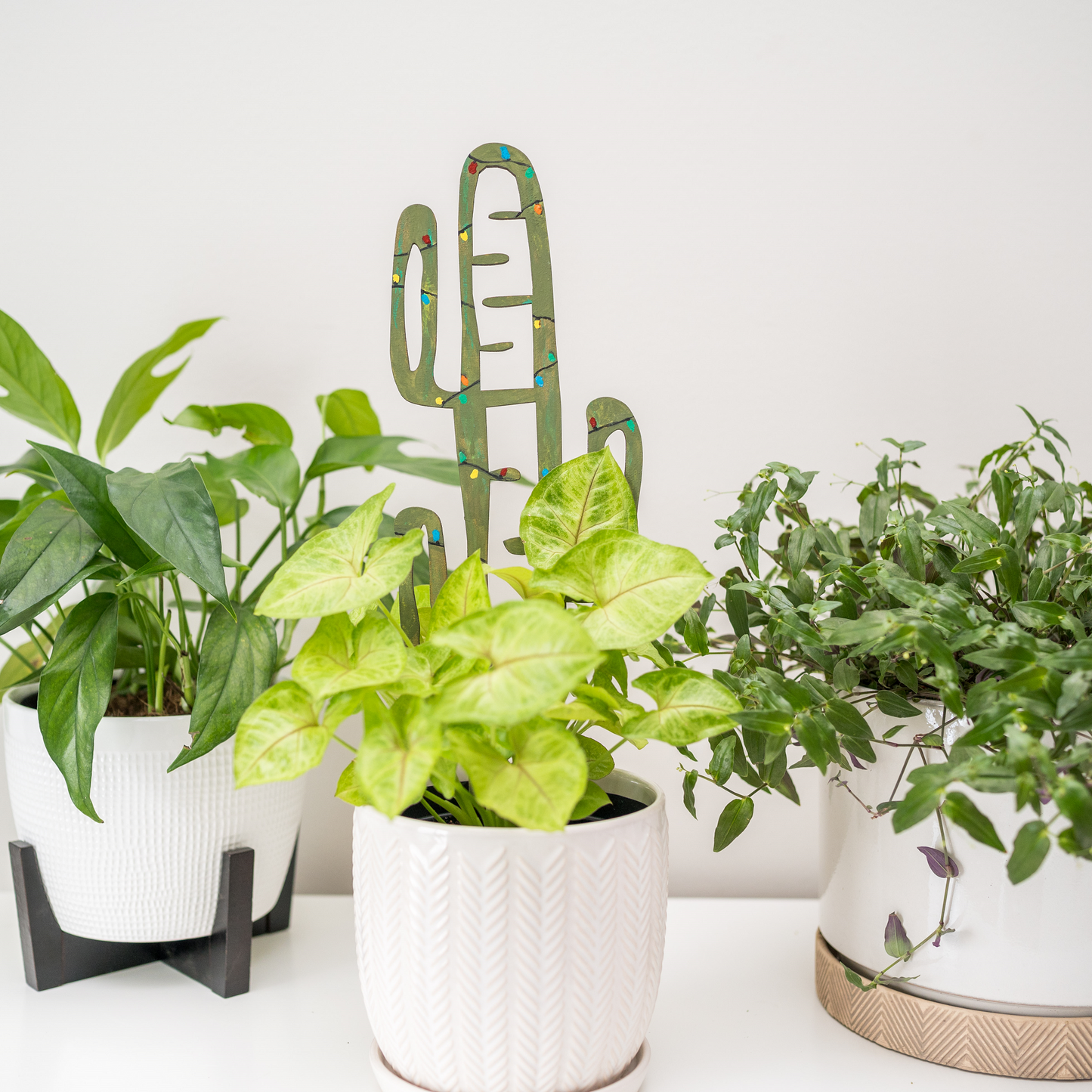 BARE™ Cactrella™ - Customizable wooden plant support - Inspired by the Barrel Cactus