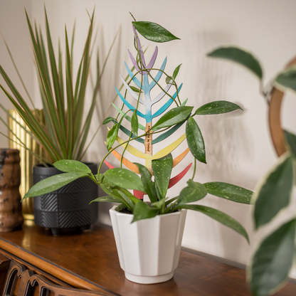 BARE™ Palmella™ - Customizable wooden plant support - Inspired by the Palm leaf
