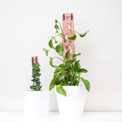 Zella - Wooden Extendable Plant Support